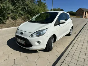 Zdjęcie 3