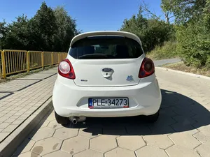 Zdjęcie 5